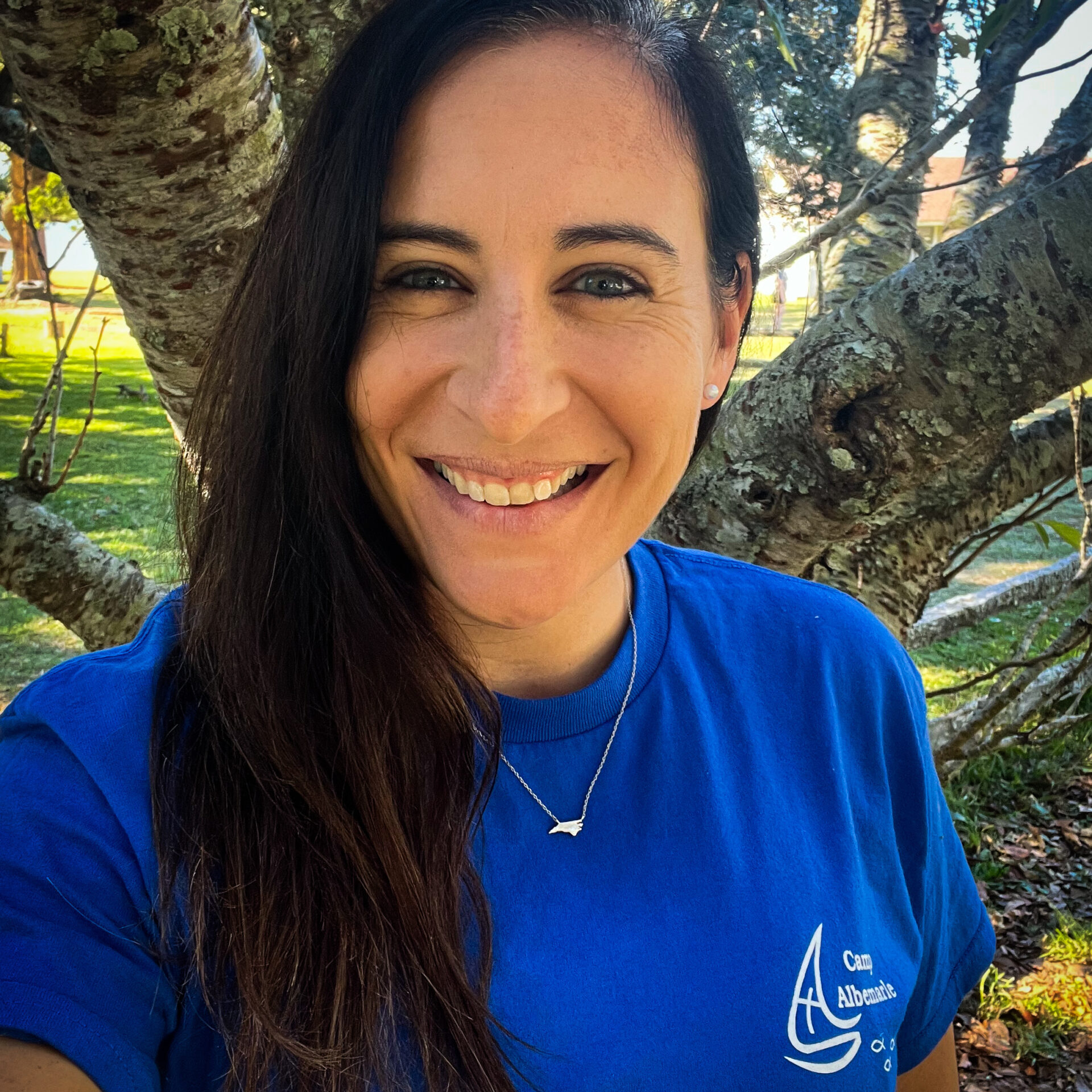 0E86ED28-66CD-4BCF-9EE1-D9060A6EBECA